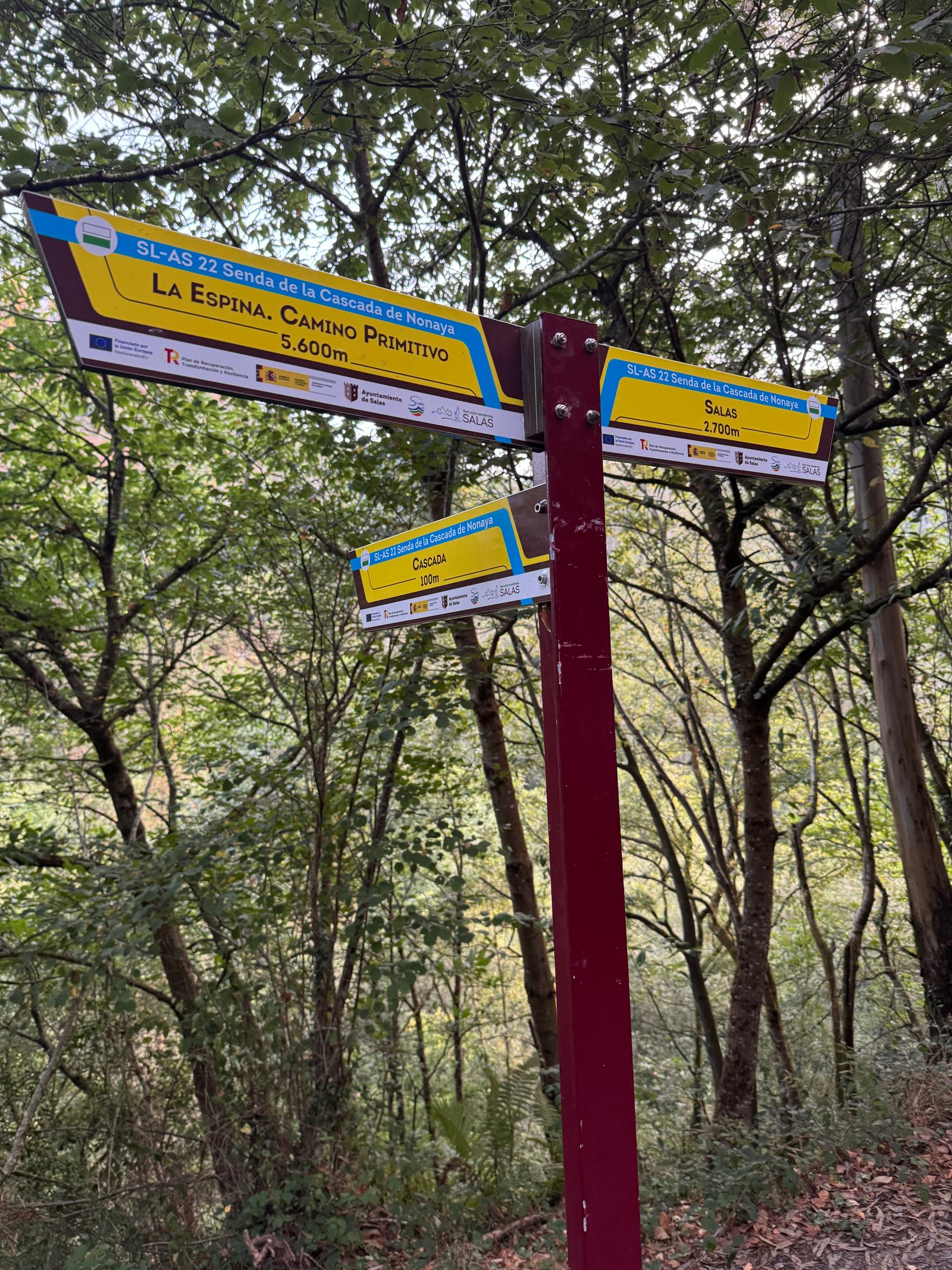 Camino primitivo trail signs near Salas
